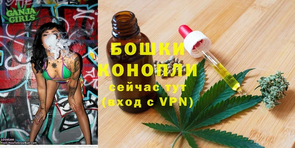 МДПВ Нязепетровск