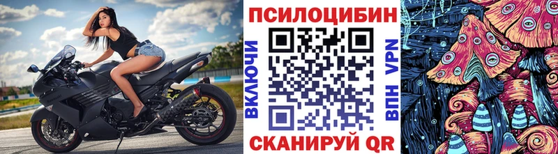 Галлюциногенные грибы Cubensis  купить  цена  Рыльск 
